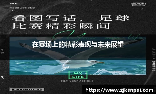 v站体育